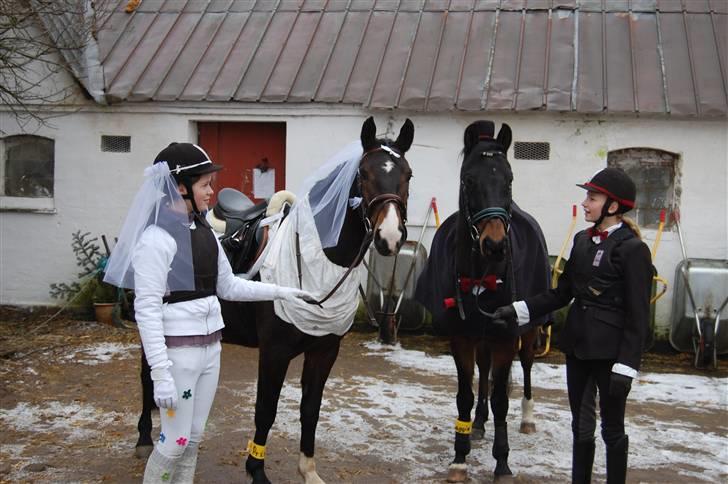 "Fastelavn er mit navn ..."  Fastelavns billeder :'D - Prins og Maggie<33

Klædt ud som brud og brudegom :] Så nu er de officelt blevet gift ! <3
Fotograf: Min mor d: billede 7