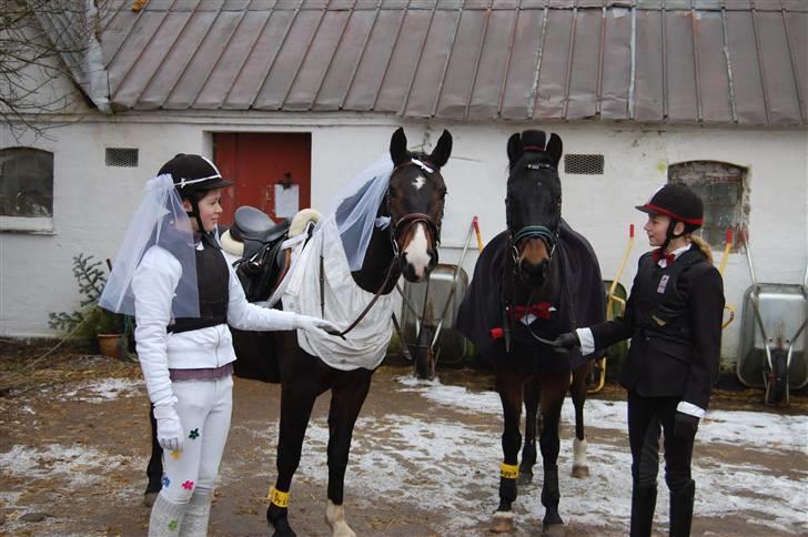 "Fastelavn er mit navn ..."  Fastelavns billeder :'D - Prins og Maggie<33

Klædt ud som brud og brudegom :] Så nu er de officelt blevet gift ! <3
Fotograf: Min mor d: billede 6