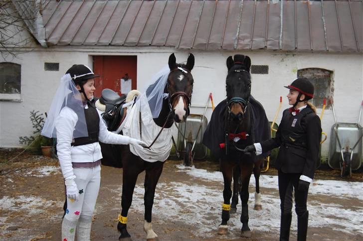 "Fastelavn er mit navn ..."  Fastelavns billeder :'D - Brud og brudegom ;]

Fotograf: Mooar !<3 billede 61