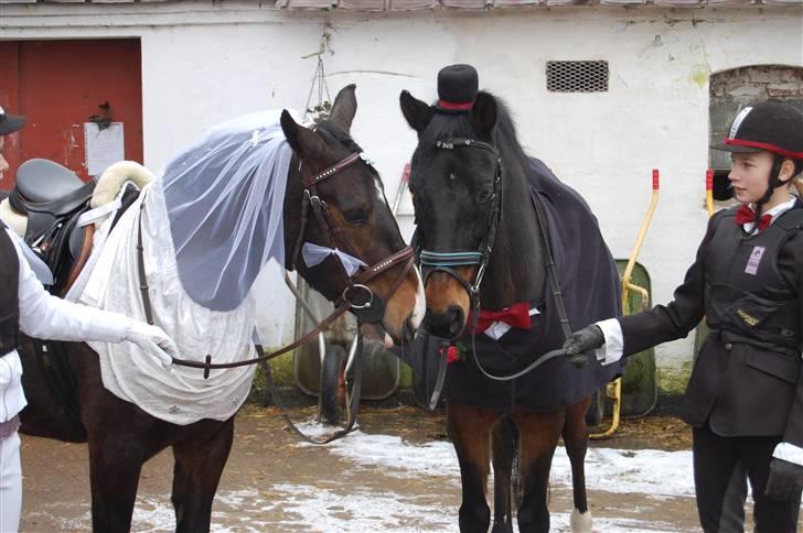 "Fastelavn er mit navn ..."  Fastelavns billeder :'D - Brud og brudegom ;]

Fotograf: Mooar !<3 billede 62