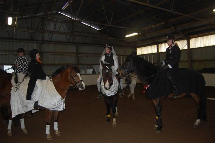 "Fastelavn er mit navn ..."  Fastelavns billeder :'D - Tre smukke, dejlige, søde og perfekte spring ponyer <3

Fotograf: Mor <3 billede 64