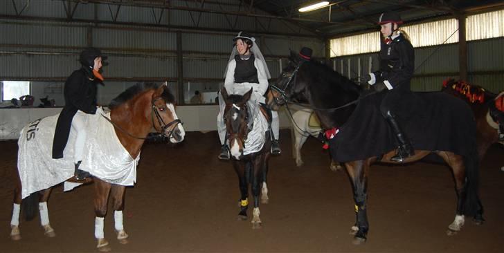 "Fastelavn er mit navn ..."  Fastelavns billeder :'D - Tre smukke, dejlige, søde og perfekte spring ponyer <3

Fotograf: Mor <3 billede 65