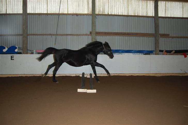 "Fastelavn er mit navn ..."  Fastelavns billeder :'D - Majsen <3
Fotograf: Mig ;] billede 67