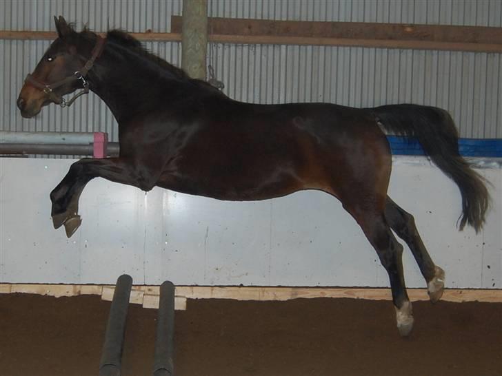 "Fastelavn er mit navn ..."  Fastelavns billeder :'D - Stine ;]
Fotograf: Miiiiig ! d: billede 68