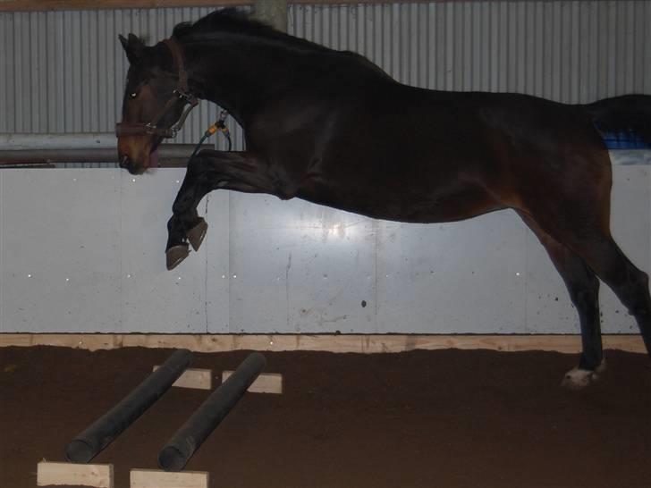 "Fastelavn er mit navn ..."  Fastelavns billeder :'D - Stine ;]
Fotograf: Miiiiig ! d: billede 69