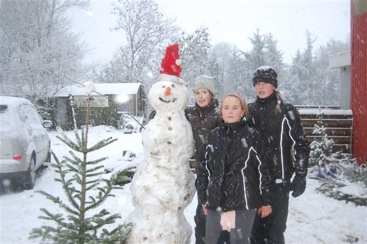 "Fastelavn er mit navn ..."  Fastelavns billeder :'D - Det sneede rigtig meget, så selvfølgelig skulle der bygges en snemand !<3 d:

Fotograf: Miiig ! billede 71