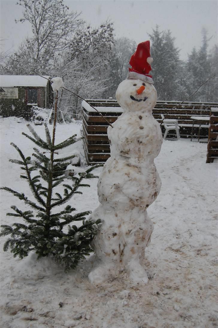 "Fastelavn er mit navn ..."  Fastelavns billeder :'D - Det sneede rigtig meget, så selvfølgelig skulle der bygges en snemand !<3 d:

Fotograf: Miiig ! ;] billede 72