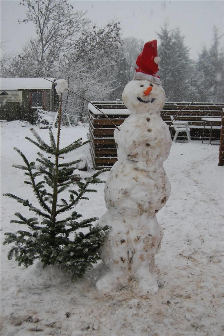 "Fastelavn er mit navn ..."  Fastelavns billeder :'D - Det sneede rigtig meget, så selvfølgelig skulle der bygges en snemand !<3 d:

Fotograf: Miiig ! ;] billede 73