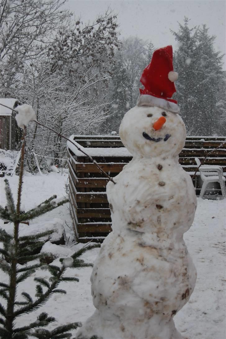 "Fastelavn er mit navn ..."  Fastelavns billeder :'D - Det sneede rigtig meget, så selvfølgelig skulle der bygges en snemand !<3 d:

Fotograf: Miiig ! ;] billede 74