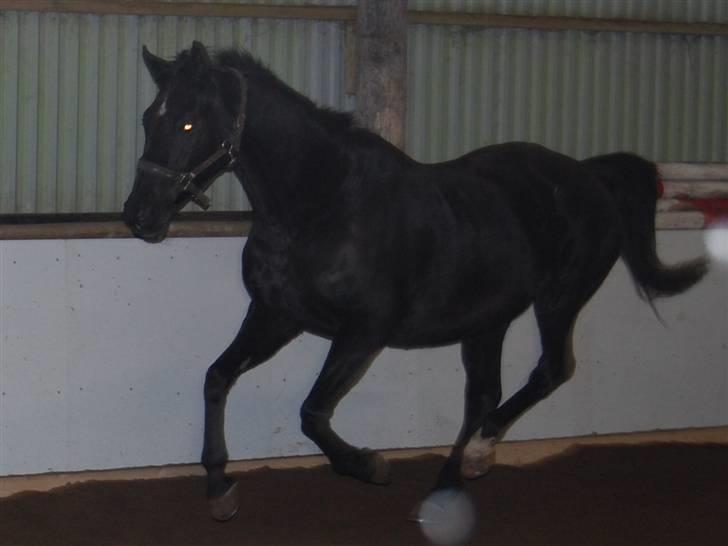 "Fastelavn er mit navn ..."  Fastelavns billeder :'D - Majsen <3
Fotograf: Mig ;] billede 76