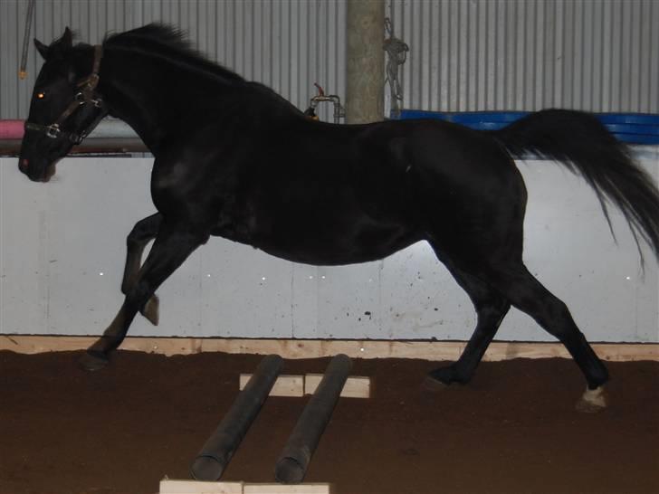 "Fastelavn er mit navn ..."  Fastelavns billeder :'D - Majsen <3
Fotograf: Mig ;] billede 77