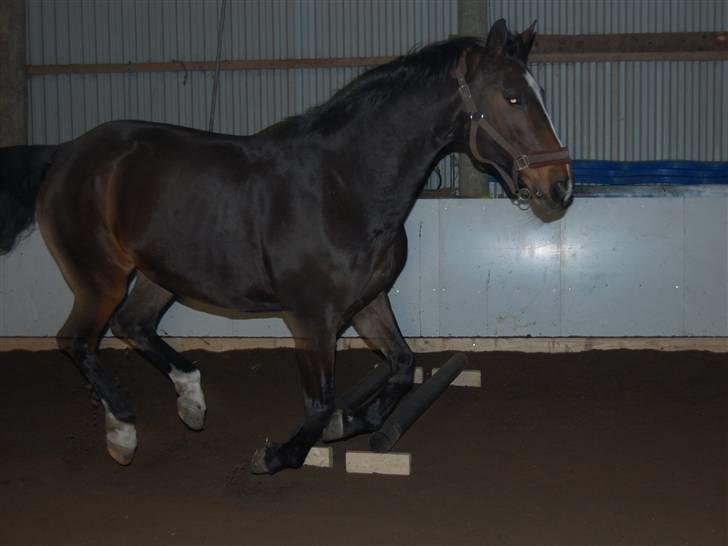 "Fastelavn er mit navn ..."  Fastelavns billeder :'D - Stine ;]
Fotograf: Miiiiig ! d: billede 79