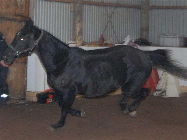 "Fastelavn er mit navn ..."  Fastelavns billeder :'D - Majsen <3
Fotograf: Mig ;] billede 81