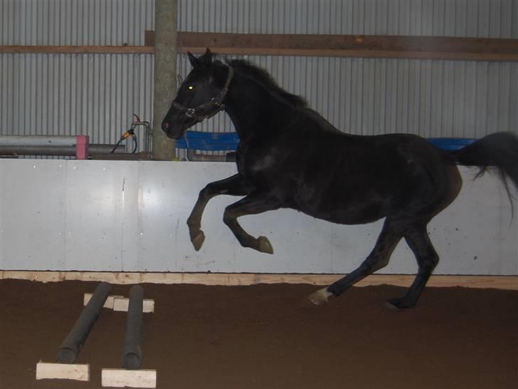 "Fastelavn er mit navn ..."  Fastelavns billeder :'D - Majsen <3
Fotograf: Mig ;] billede 82