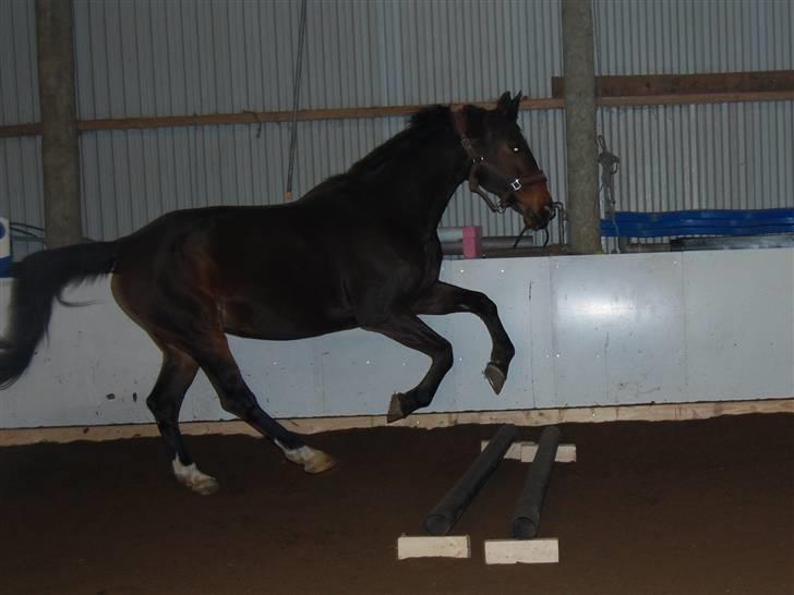 "Fastelavn er mit navn ..."  Fastelavns billeder :'D - Stine ;]
Fotograf: Miiiiig ! d: billede 83