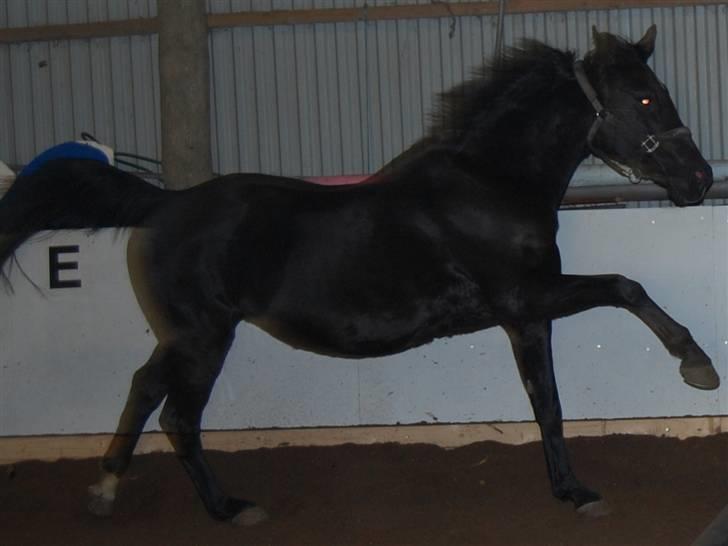 "Fastelavn er mit navn ..."  Fastelavns billeder :'D - Majsen <3
Fotograf: Mig ;] billede 84