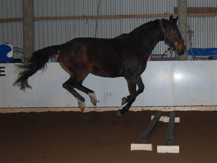 "Fastelavn er mit navn ..."  Fastelavns billeder :'D - Stine ;]
Fotograf: Miiiiig ! d: billede 85