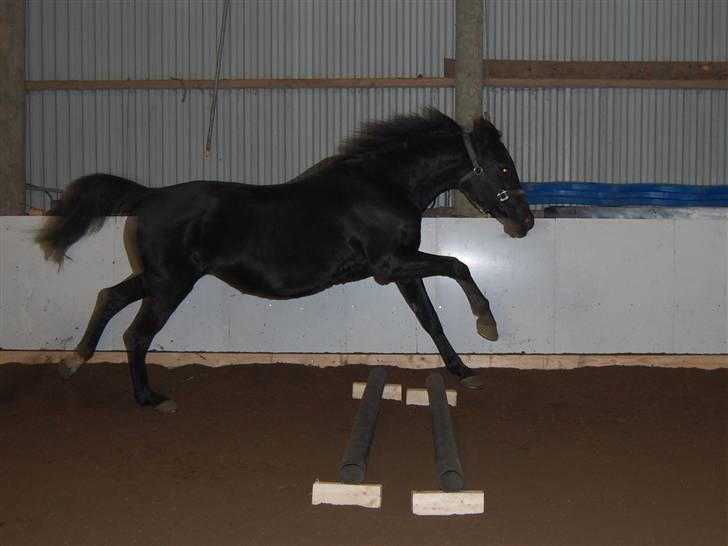 "Fastelavn er mit navn ..."  Fastelavns billeder :'D - Majsen <3
Fotograf: Mig ;] billede 86