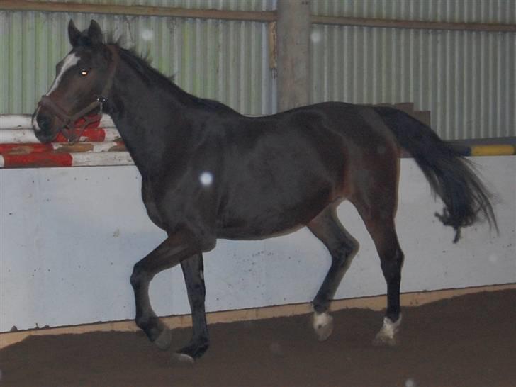 "Fastelavn er mit navn ..."  Fastelavns billeder :'D - Stine ;]
Fotograf: Miiiiig ! d: billede 88