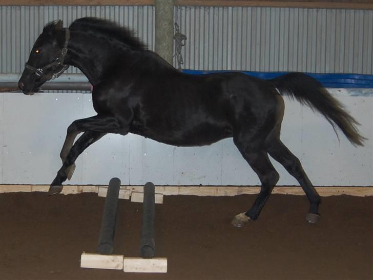 "Fastelavn er mit navn ..."  Fastelavns billeder :'D - Majsen <3
Fotograf: Mig ;] billede 89