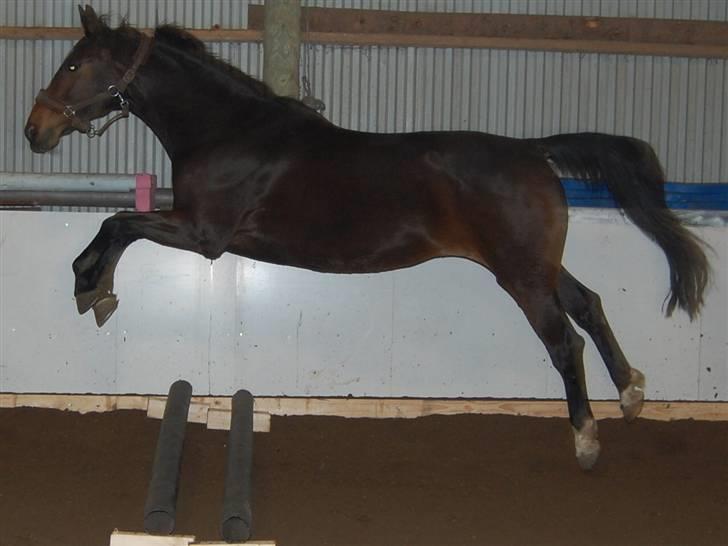 "Fastelavn er mit navn ..."  Fastelavns billeder :'D - Stine ;]
Fotograf: Miiiiig ! d: billede 90