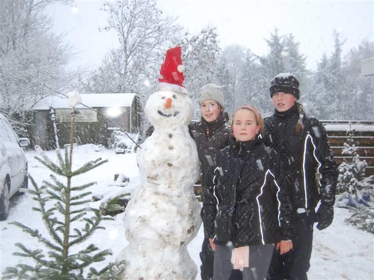 "Fastelavn er mit navn ..."  Fastelavns billeder :'D - Det sneede rigtig meget, så selvfølgelig skulle der bygges en snemand !<3 d:

Fotograf: Miiig ! ;] billede 91