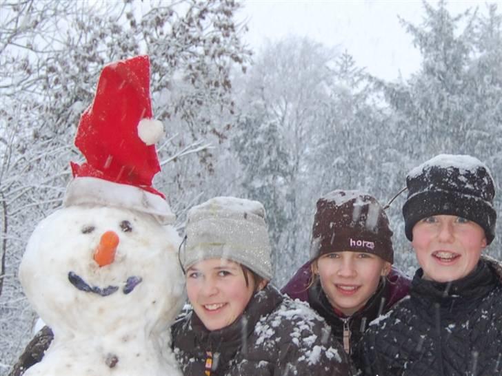 "Fastelavn er mit navn ..."  Fastelavns billeder :'D - Det sneede rigtig meget, så selvfølgelig skulle der bygges en snemand !<3 d:

Fotograf: Rikke !<3 billede 92