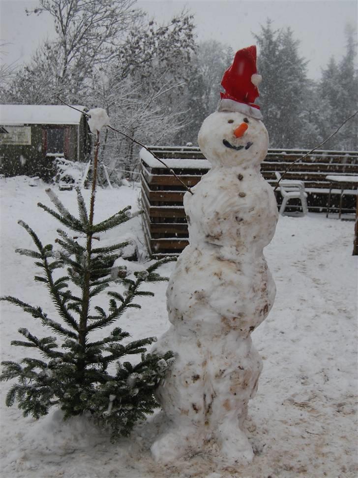 "Fastelavn er mit navn ..."  Fastelavns billeder :'D - Det sneede rigtig meget, så selvfølgelig skulle der bygges en snemand !<3 d:

Fotograf: Miiig ! ;] billede 95