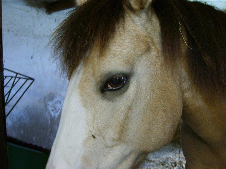 Marong<3(: - <3. billede 3