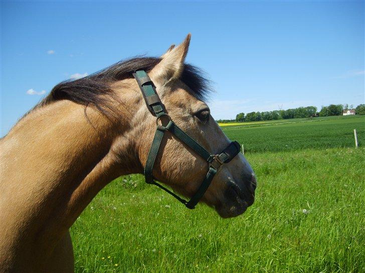 Marong<3(: - <3. billede 4