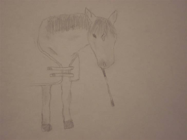 Mine første heste tegninger! :) - Min 6 hestetegning, :) billede 2