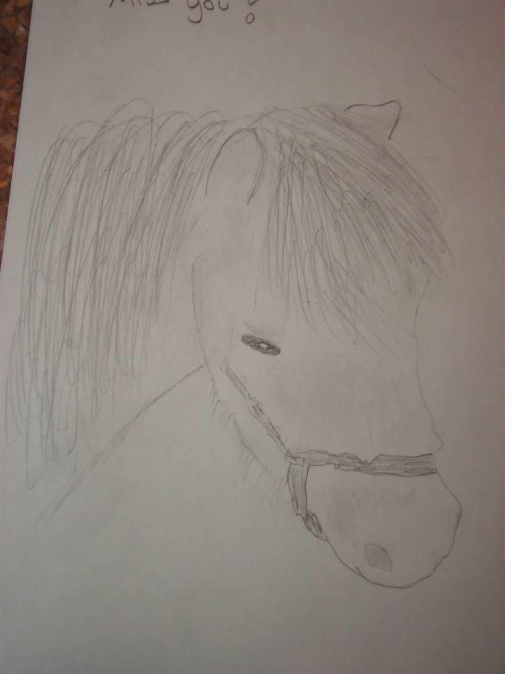 Mine første heste tegninger! :) - Sidste heste tegning. ! 
Rest in peace Trunte!<3 billede 5