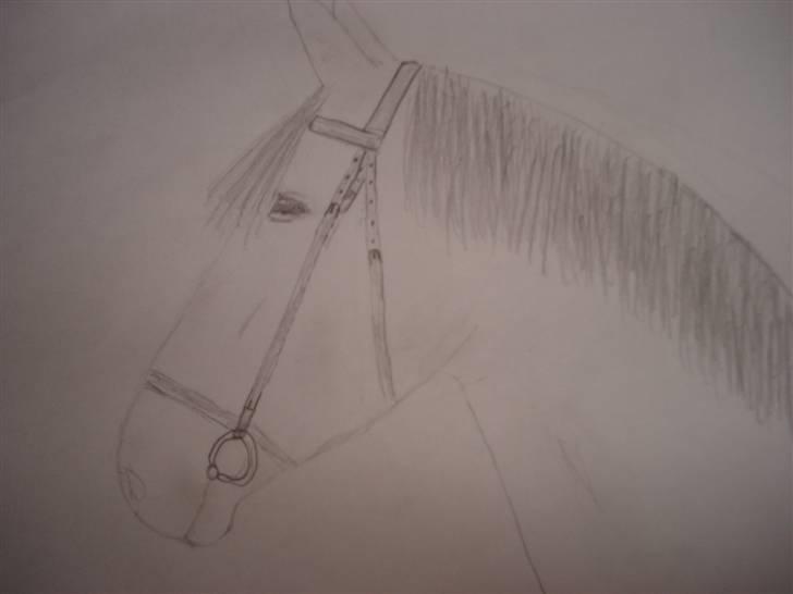 Mine første heste tegninger! :) - Den jeg bedst kan li af dem :D billede 1