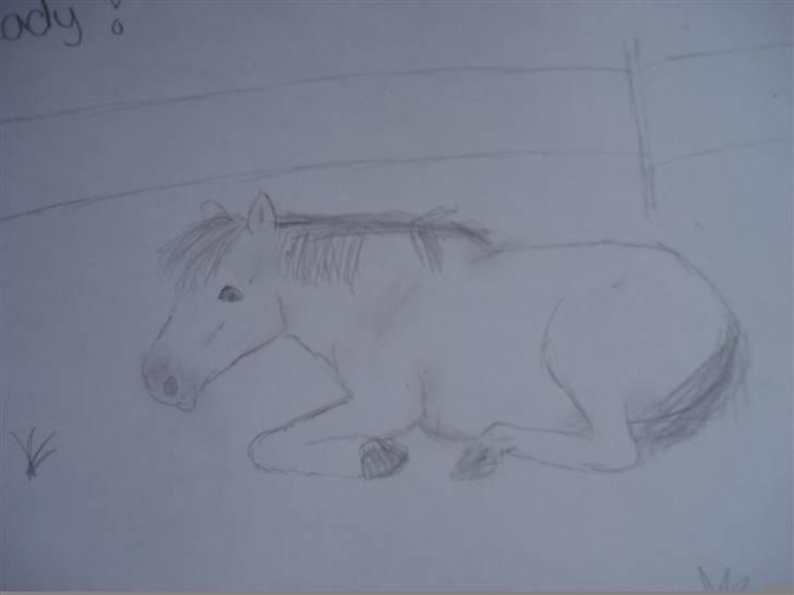Mine første heste tegninger! :) - Lady.. billede 6