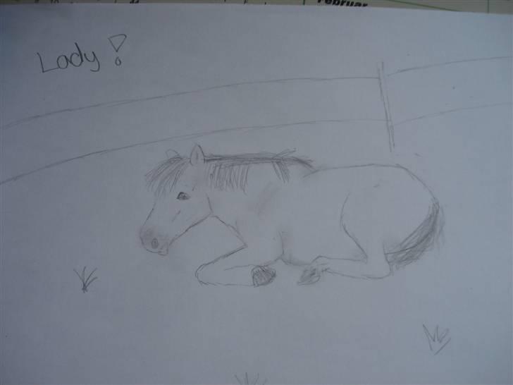 Mine første heste tegninger! :) - Lady, den blev ikke så pæn min første hest der ligger ned.. :) billede 7