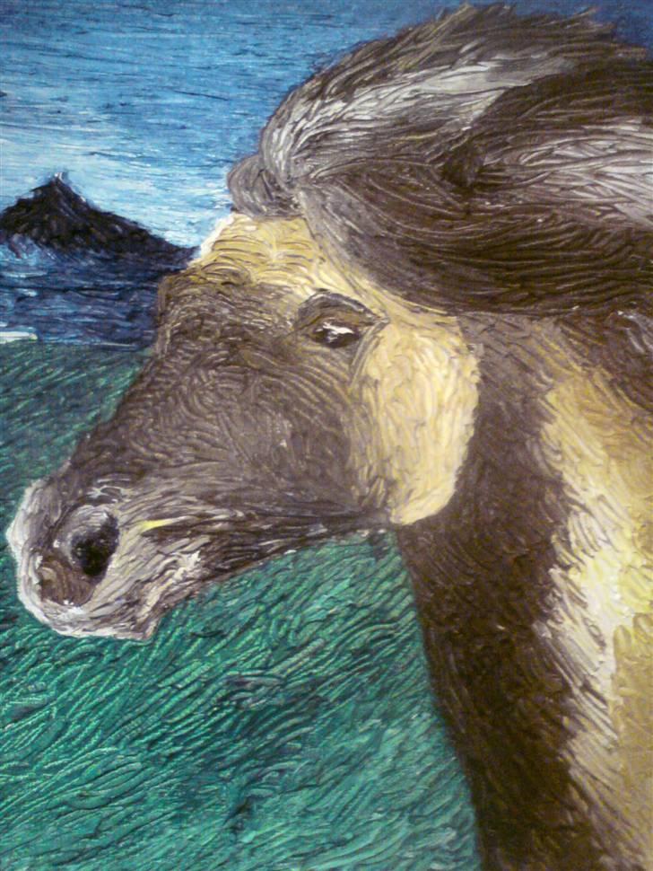 Tegninger - Oliemaleri af Islænderhoppen Kveikja. Lavet i dec. 2008 billede 6