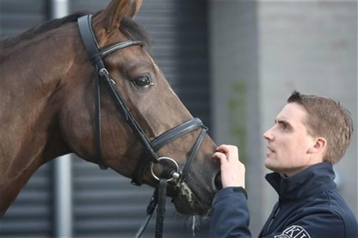 Stutteri Hønnerup, min arbejdsplads. - Andreas Helgstrand & hønnerups Driver.
Andreas har købt det halve af ham. billede 10