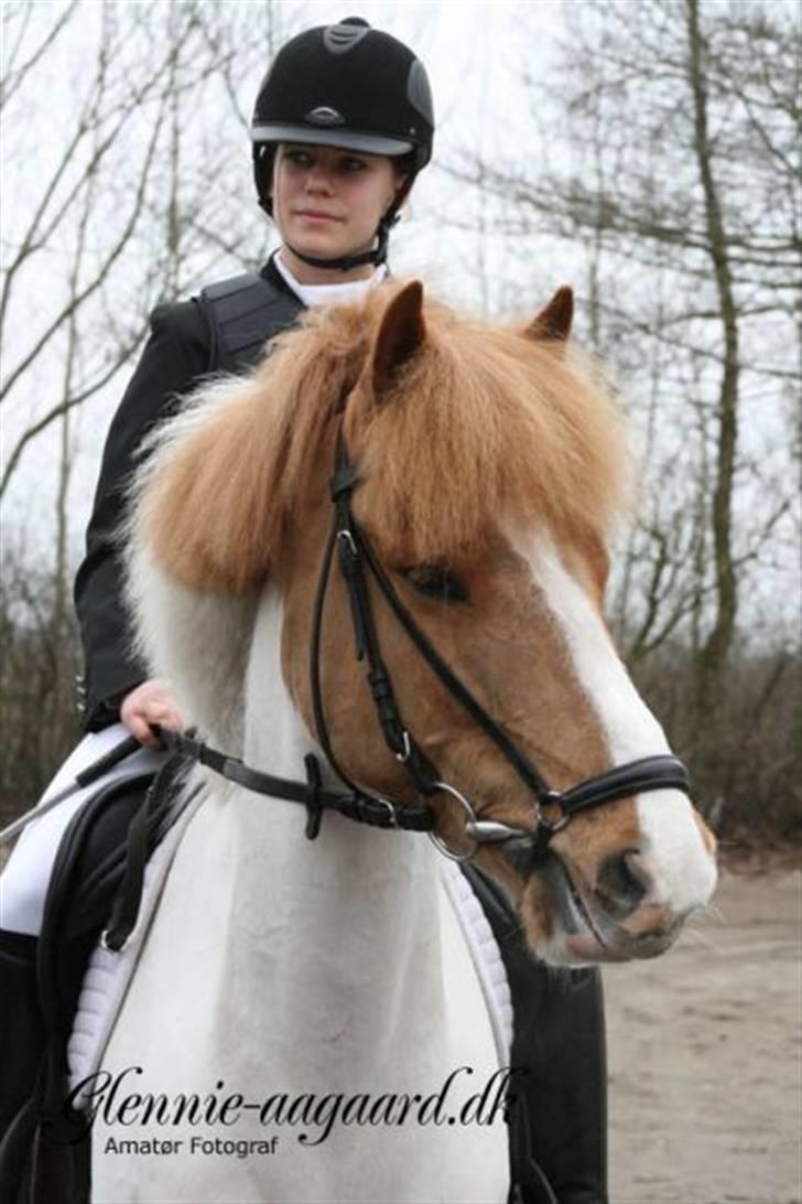 Miig og Fire i HJRK billede 6