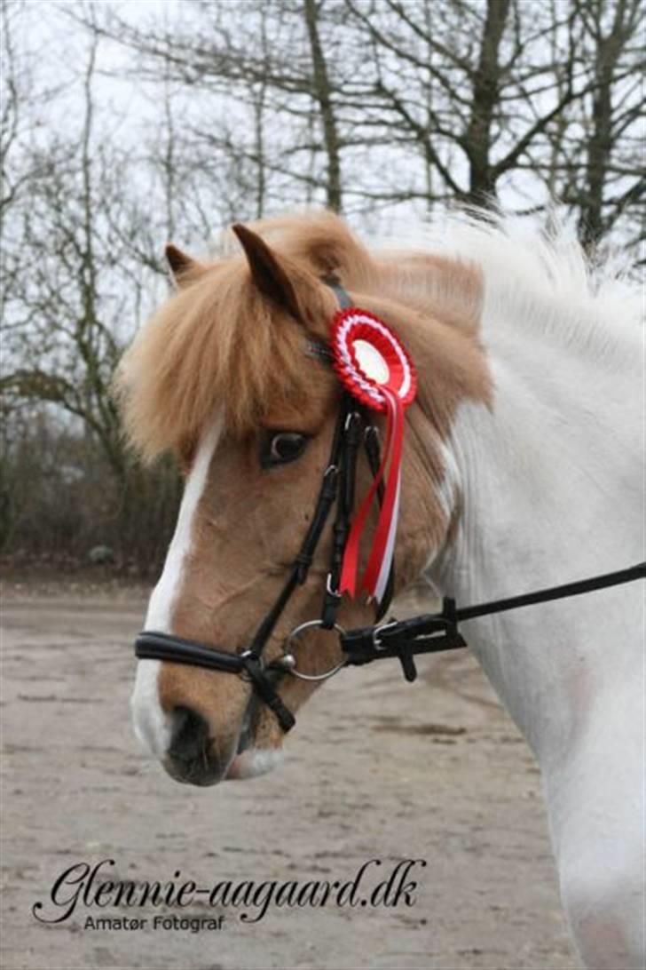 Miig og Fire i HJRK billede 7