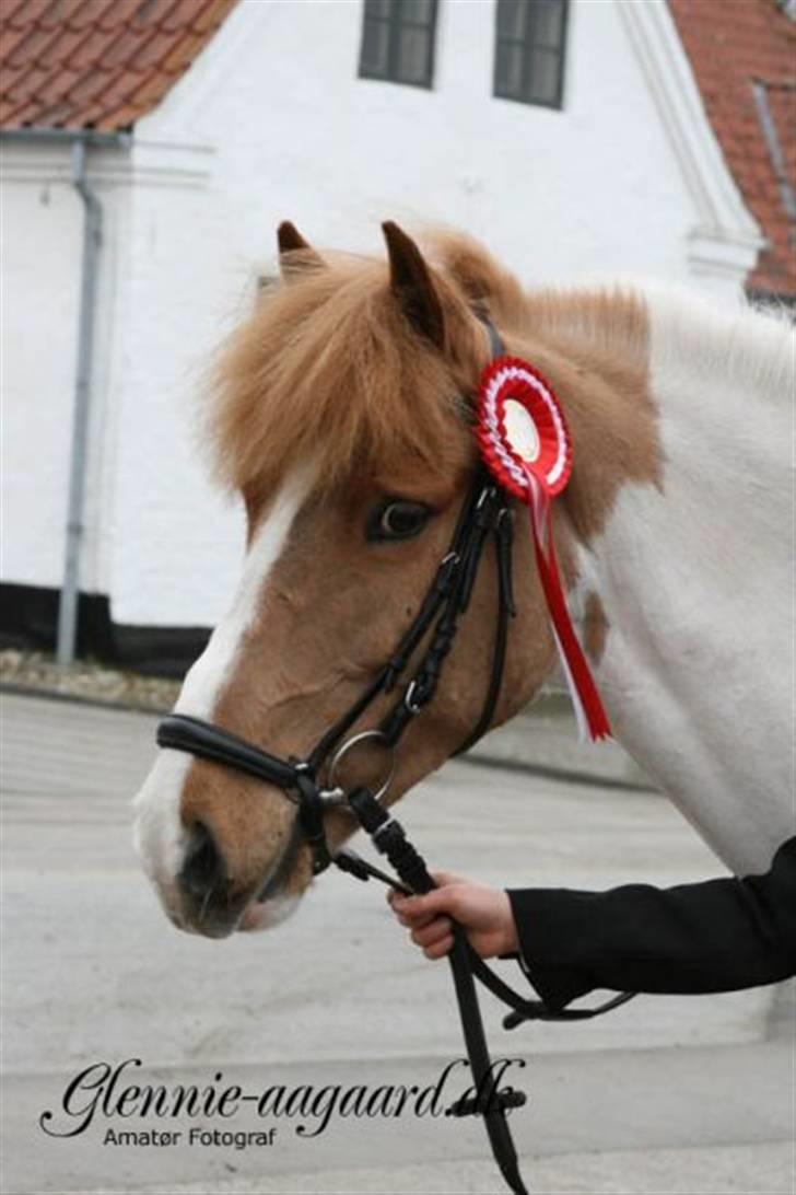 Miig og Fire i HJRK billede 8