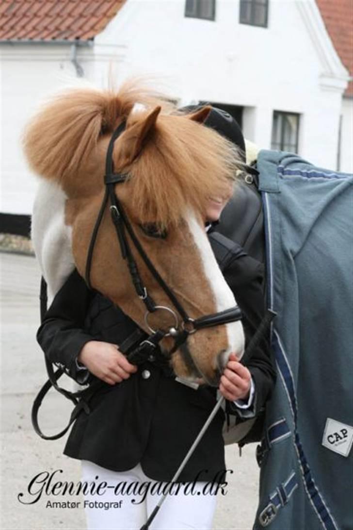 Miig og Fire i HJRK billede 10