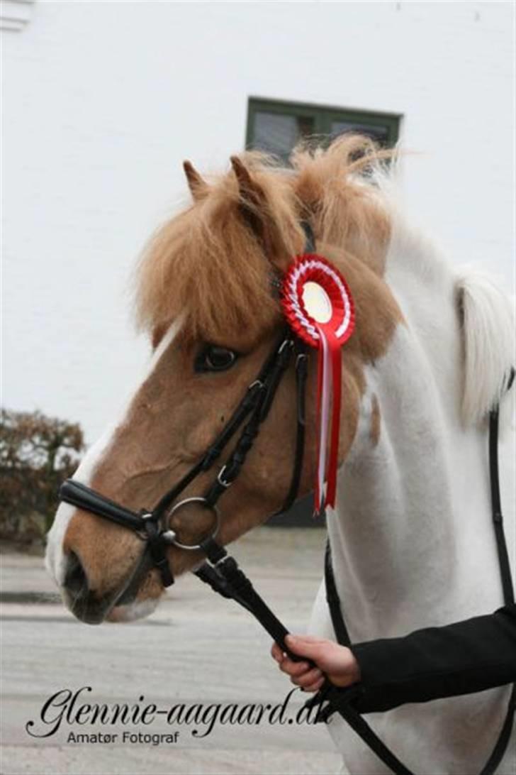 Miig og Fire i HJRK billede 12