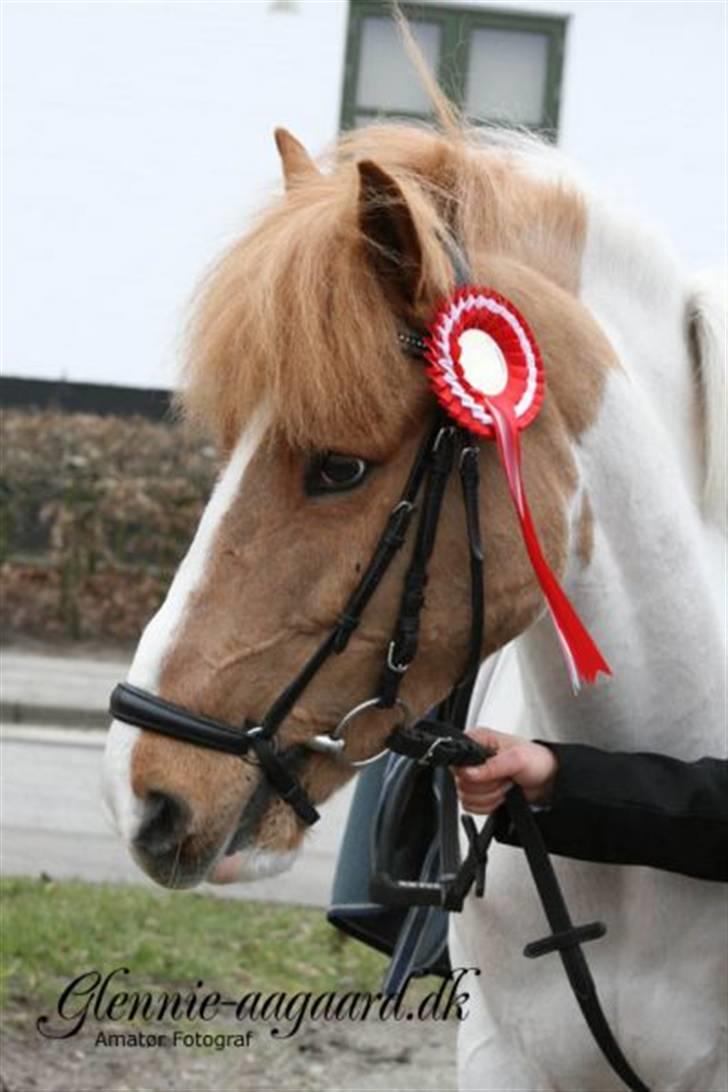 Miig og Fire i HJRK billede 13