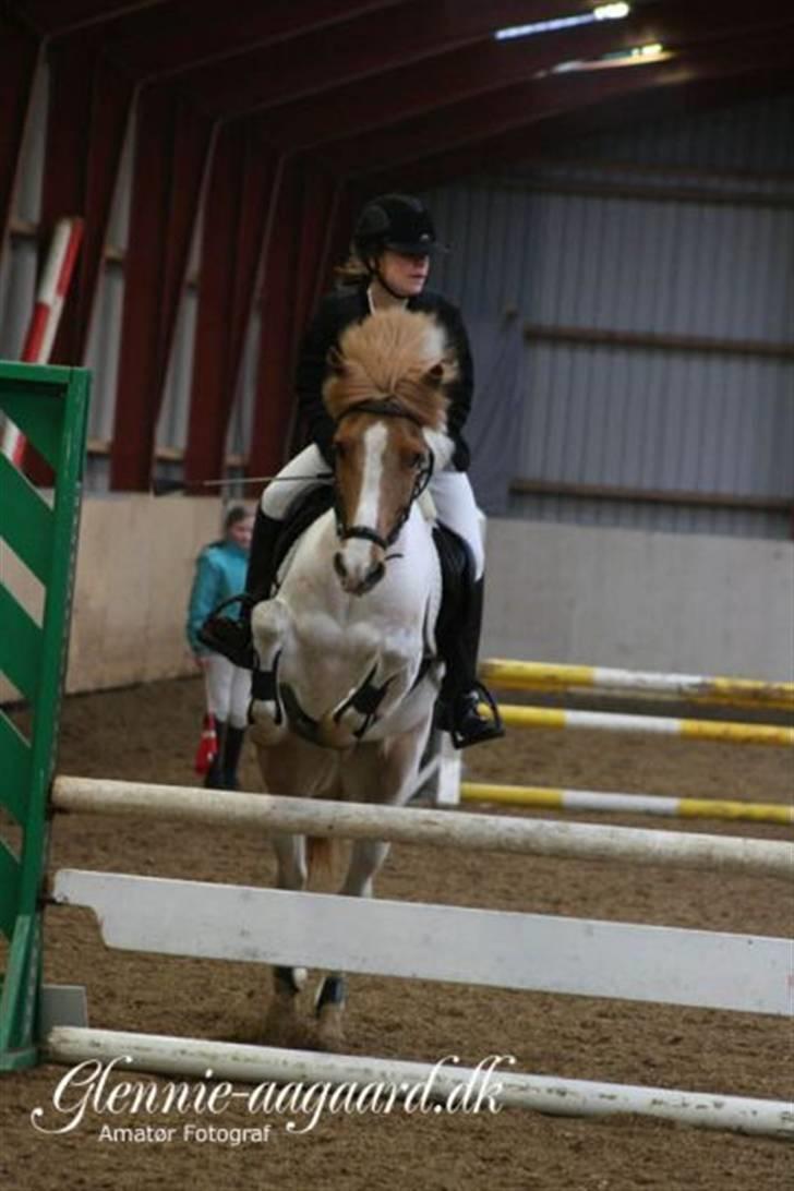 Miig og Fire i HJRK billede 14