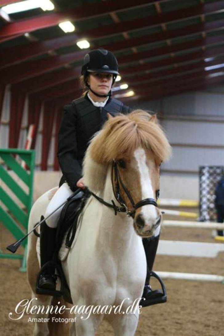 Miig og Fire i HJRK billede 15