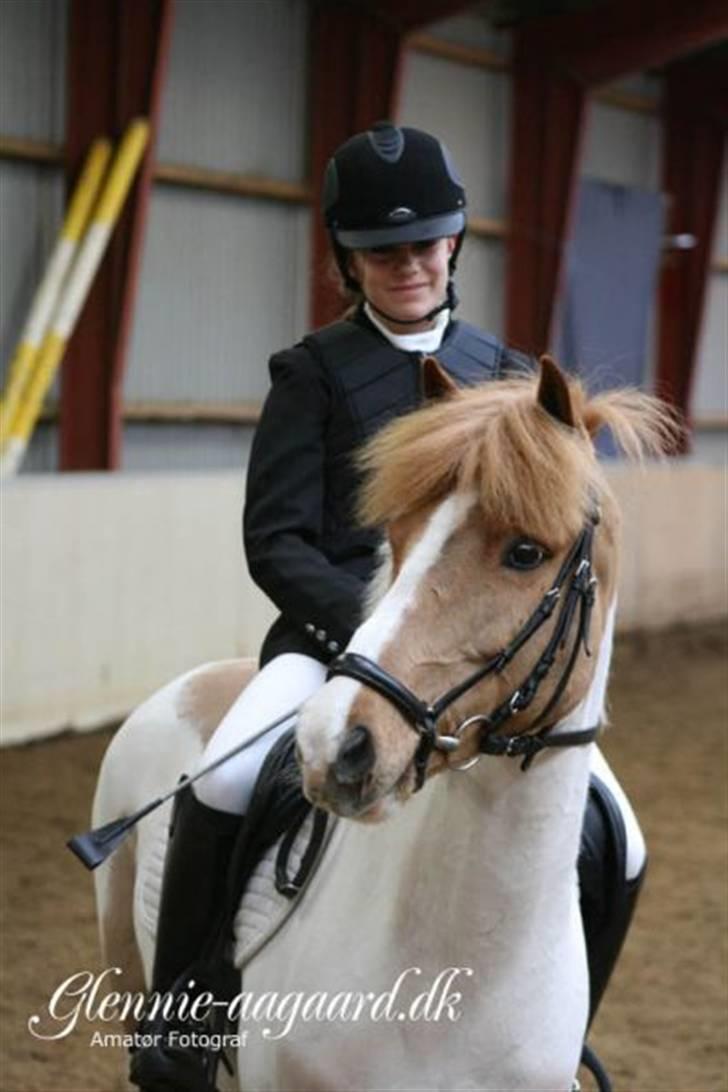 Miig og Fire i HJRK billede 17