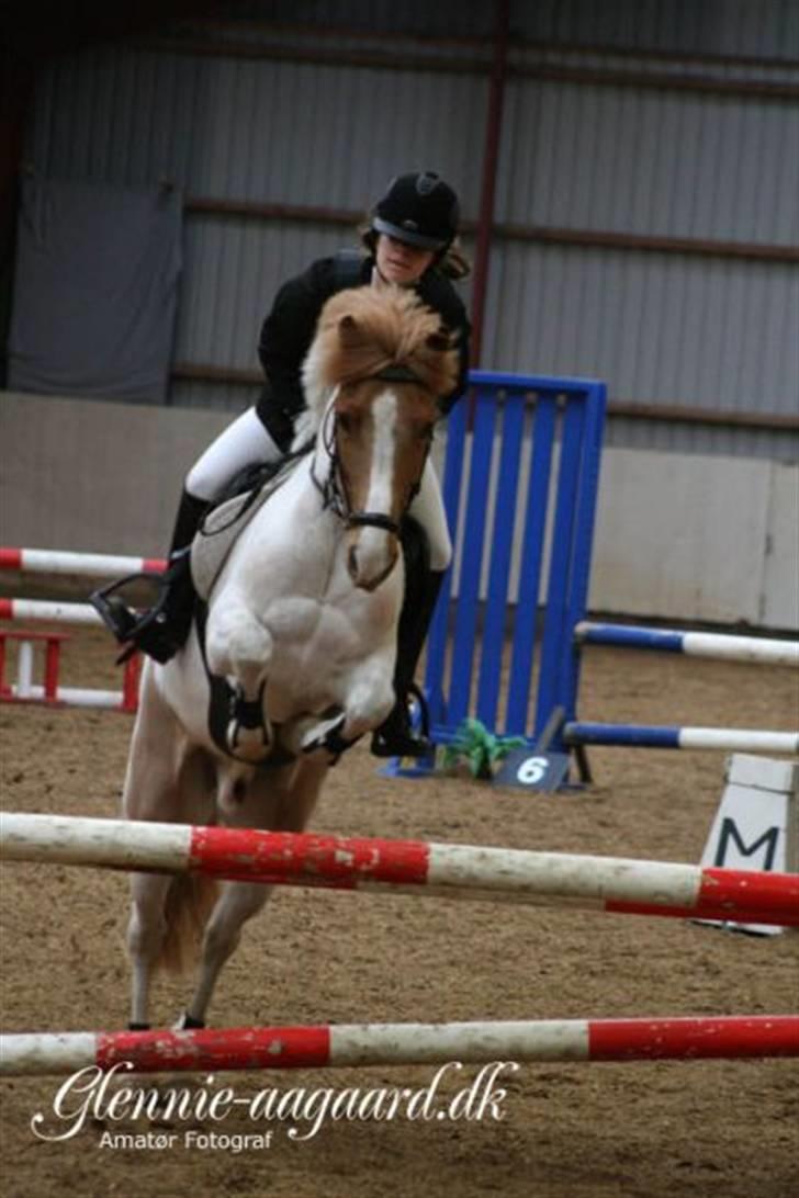 Miig og Fire i HJRK billede 18