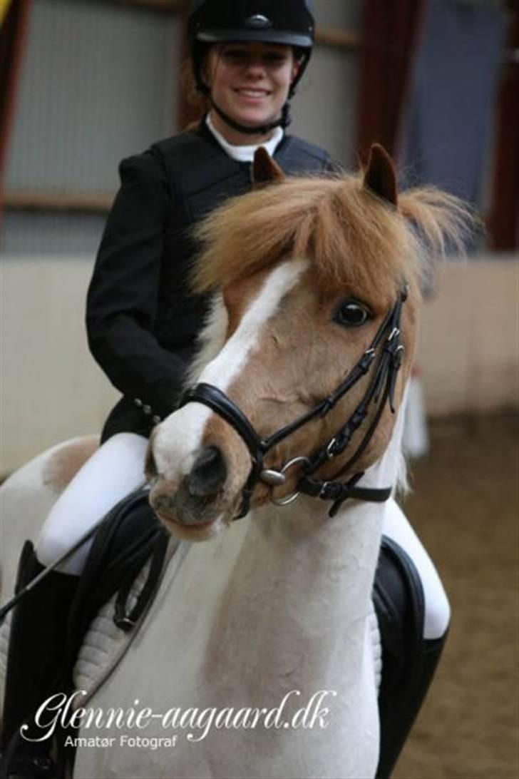 Miig og Fire i HJRK billede 19