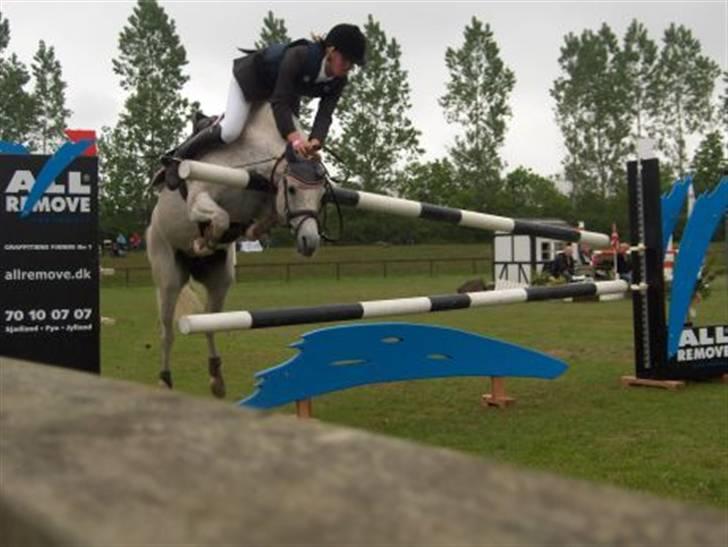 Billeder fra landsskuet i herning:) billede 19