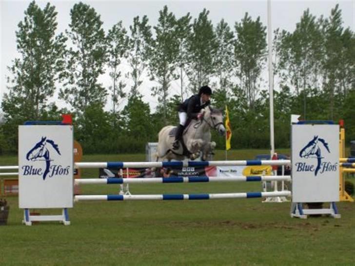 Billeder fra landsskuet i herning:) billede 20